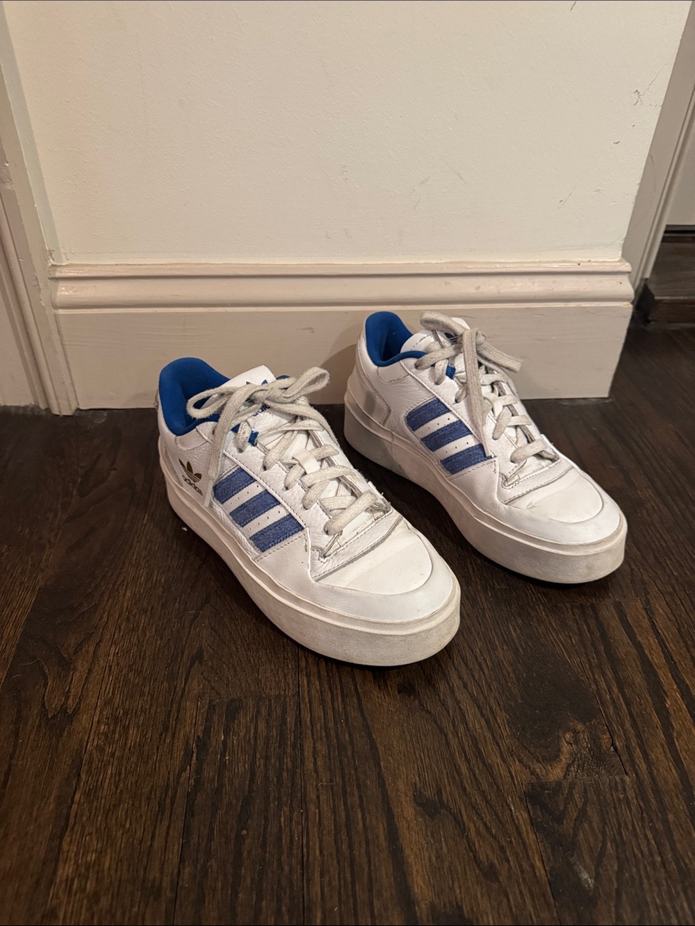 adidas forum bonega cloud white / royal blue - Picture 4 of 8